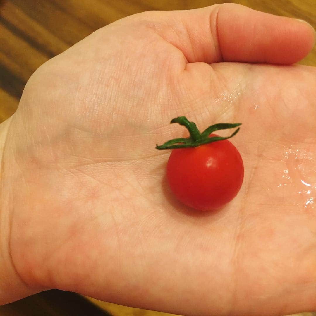 六車奈々さんのインスタグラム写真 - (六車奈々Instagram)「家のベランダで採れたトマト。  小さいけど、甘くて美味しい(//∇//) #トマト #ベランダで採れた #甘くて #美味しい」8月2日 20時18分 - nanarokusha