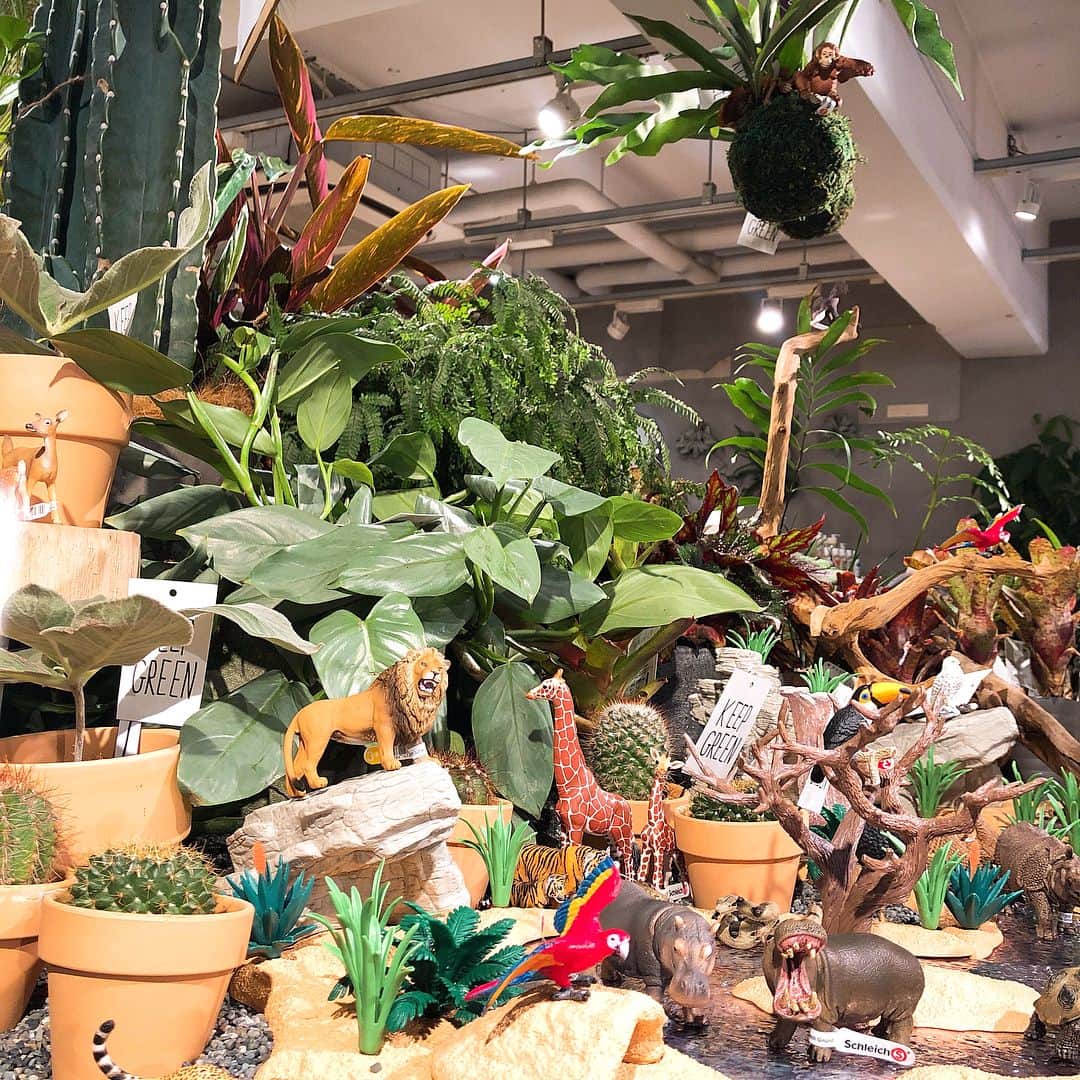 TODAY'S SPECIALのグルメインスタ