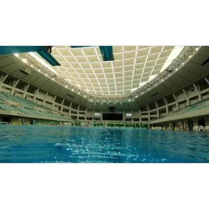 寺内健のインスタグラム：「今日は取材で貴重な動画を撮って頂きました。 #diving#gopro#205B」