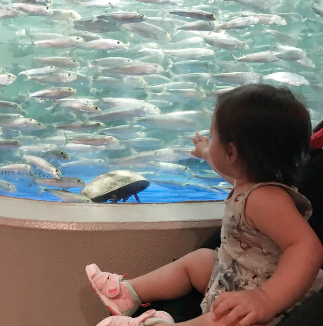 土屋アンナさんのインスタグラム写真 - (土屋アンナInstagram)「今日は品川水族館✨沢山のお魚に 「おぉぉー❗️これぇ❓これぇ❓」と星波はウキウキ😄 イワシのトルネード🌪 綺麗ぇねぇ❣️ 帰りはおねぇさん爆睡🤣目ぇぇ開いてますよ💦この後口も開きました😵😵😵 #品川水族館 #魚」7月29日 20時26分 - annatsuchiya0311