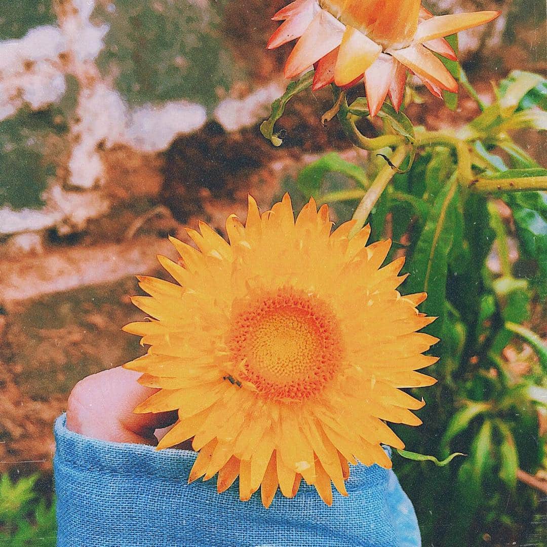 ボラムのインスタグラム：「#20090729🌻」