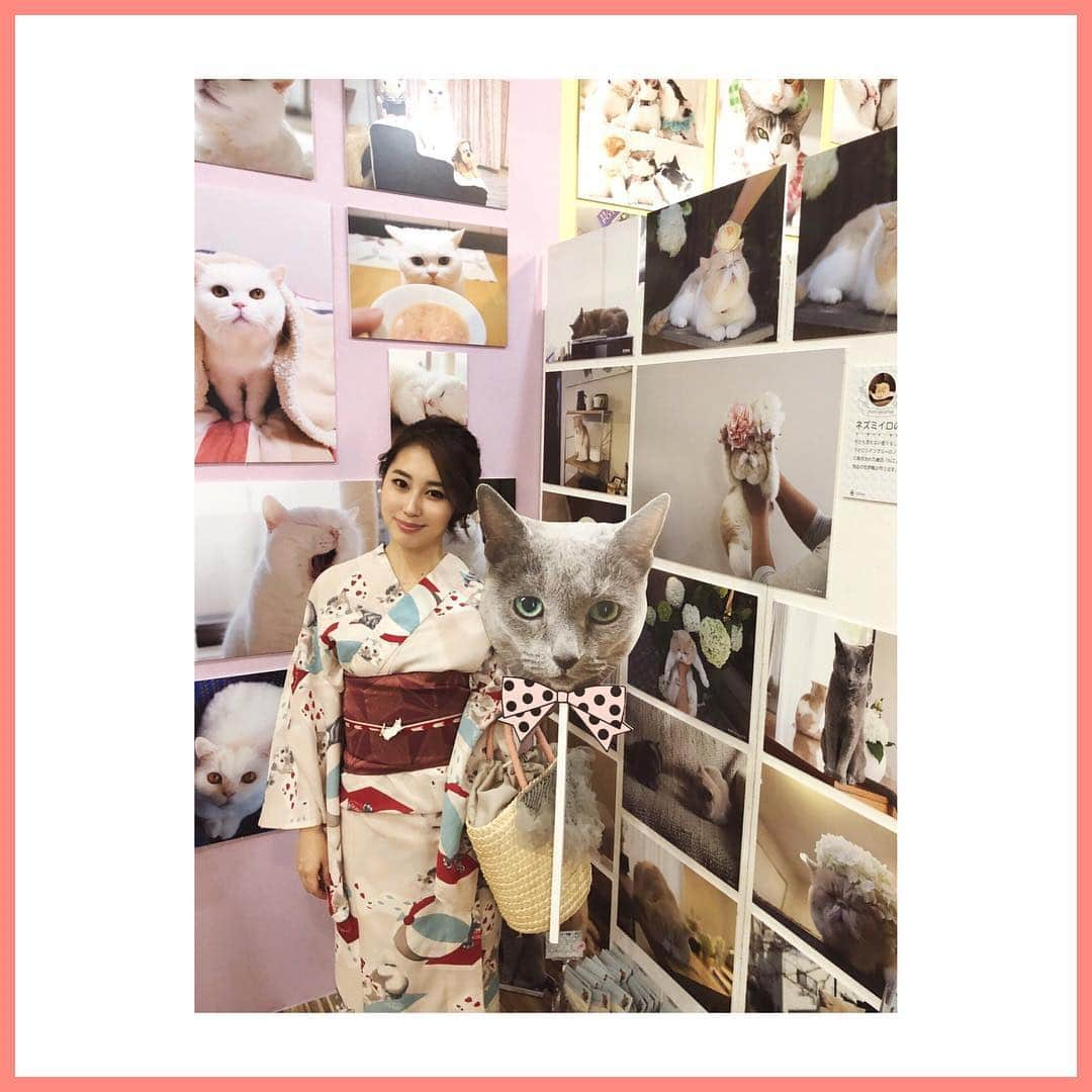 八尋莉那さんのインスタグラム写真 - (八尋莉那Instagram)「♡ねこ休み展♡行ってきました🙋🏻‍♀️ にゃにゃ好きにはたまらない空間でした🧚‍♀️ 愛されて幸せいっぱいのにゃにゃたちの写真が沢山展示してありましたよ〜🐱✨ 猫さんは無表情！なんていうお話もありますが、実はそんなことは全然なくて😼気を許した人にだけ見せる色んな表情が猫さんにはあるんですよね😽💭 だからこういう、飼い主さんが撮った自然体のにゃにゃ写真ってだいすきです🐈 うちのティティーは、ままちゃん(ワタクシ)が撮ったInstagramを更新しているので是非フォローしてあげてくださいませ😽笑 @titty0420 ・ ・ #ねこ休み展#ねこ#猫柄#浴衣#ふりふ #帯留め#帯締め#ねこすき #cat#me#follow#followme#instagood#instagram #世界中のねこたちが幸せに暮らせますように」7月30日 14時29分 - rinahnna