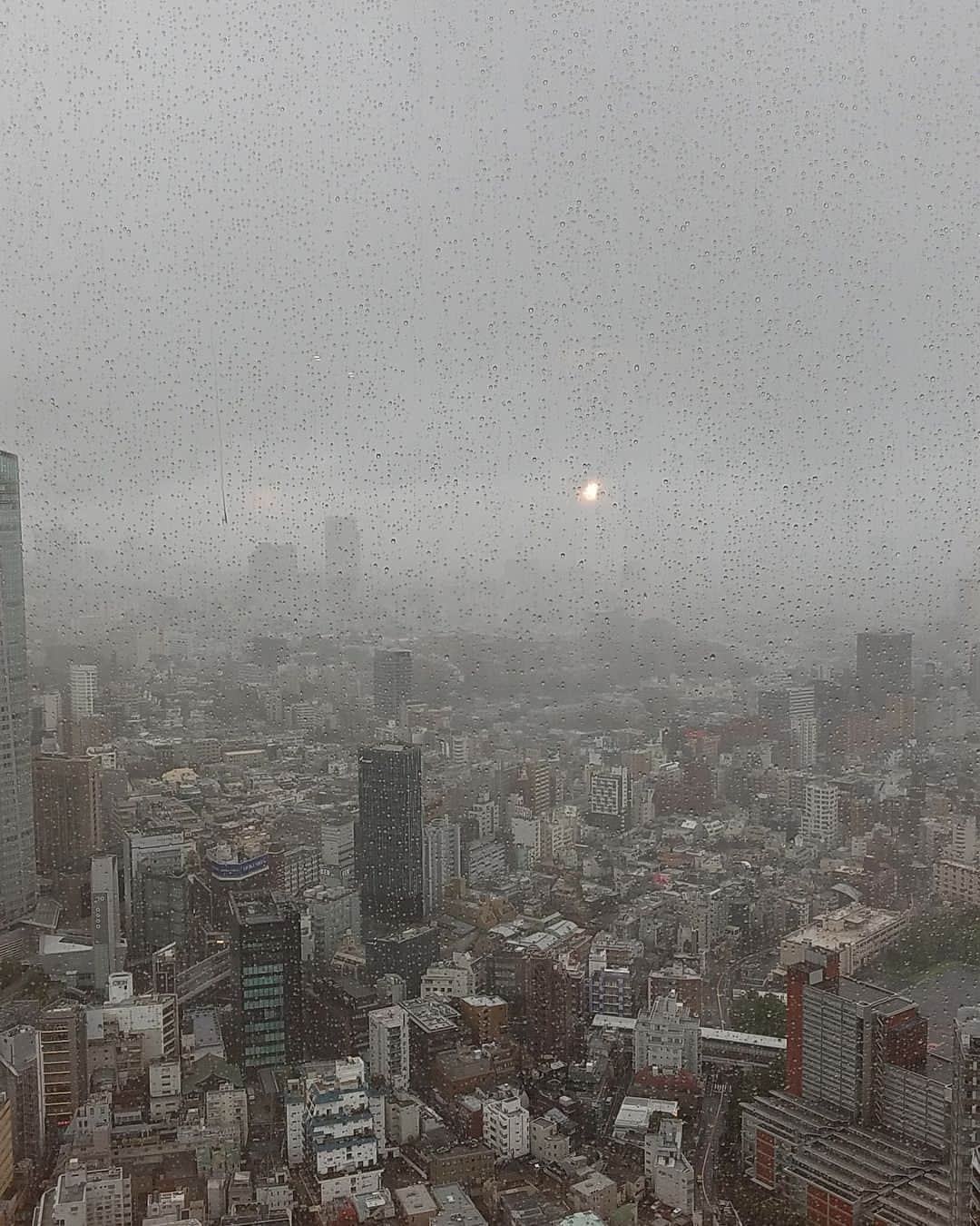 桃井かおりさんのインスタグラム写真 - (桃井かおりInstagram)「台風来たる！ホテルに泊まってたがあっという間に此の景色。」7月31日 0時18分 - kaori_momoi