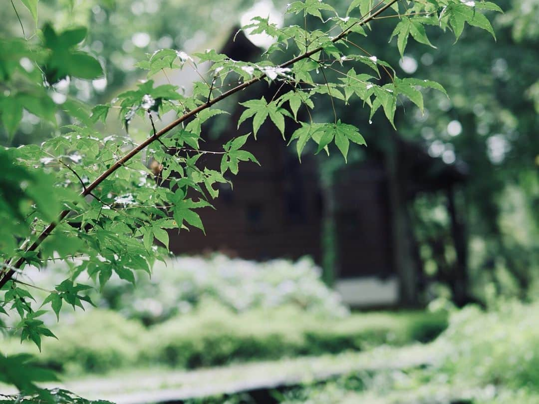 渡辺由布子さんのインスタグラム写真 - (渡辺由布子Instagram)「🏕 #暮らすように旅する  テントに寝泊まりするサバイバルなキャンプは、ちょっと抵抗あるけれど、キッチンやベッドを設えた大自然の中のログハウスで、家族やペットと過ごす優雅な休日はすごくいい。非日常体験。  @bess_slowlife  #グランピング #大人の週末 #鼻の穴ふくらんでる  #bbq #camping #glamping #summervacation #summercamp #staycation #weekendgateaway  #lake #yamanashi #japantrip #discoverJapan #🇯🇵」7月31日 18時55分 - watanabe_yuko