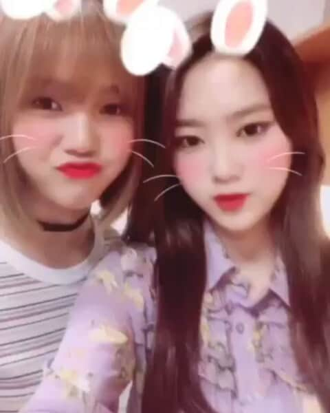 ジホのインスタグラム：「Oh My Girl - Jiho & Mimi Weibo Update 180720 ~ Jiho & Mimi - 지호 & 미미 (© Oh My Girl) . .  #jiho #kimjiho #hyojung #mimi #yooa #seunghee #binnie #arin #ohmygirl #omg #wment #miracle #ThankYouJinE #지호 #김지호 #효정 #미미 #유아 #아린 #승희 #미라클 #오마이걸」