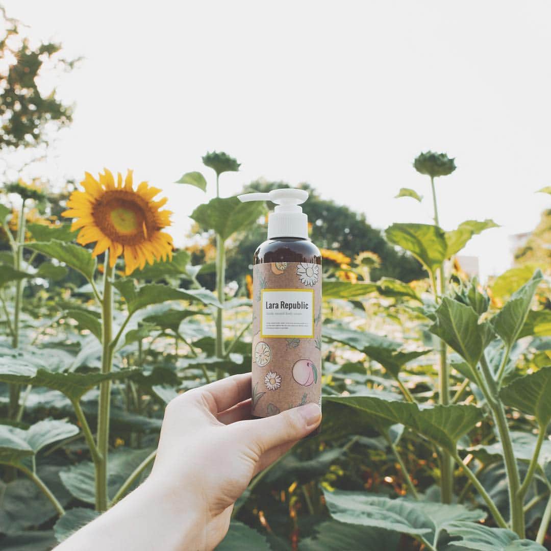 Lara Republic(ララリパブリック) さんのインスタグラム写真 - (Lara Republic(ララリパブリック) Instagram)「【Seasonal moments】 夏を代表する花といえば、やっぱり向日葵。 向日葵に囲まれると幸せな気分になり、元気がみなぎってくる。自然の力を借りて、しっかりパワーチャージしよう🌻 ⠀⠀ @lara_republic  #LaraRepublic #ララリパブリック」8月1日 16時36分 - lara_republic