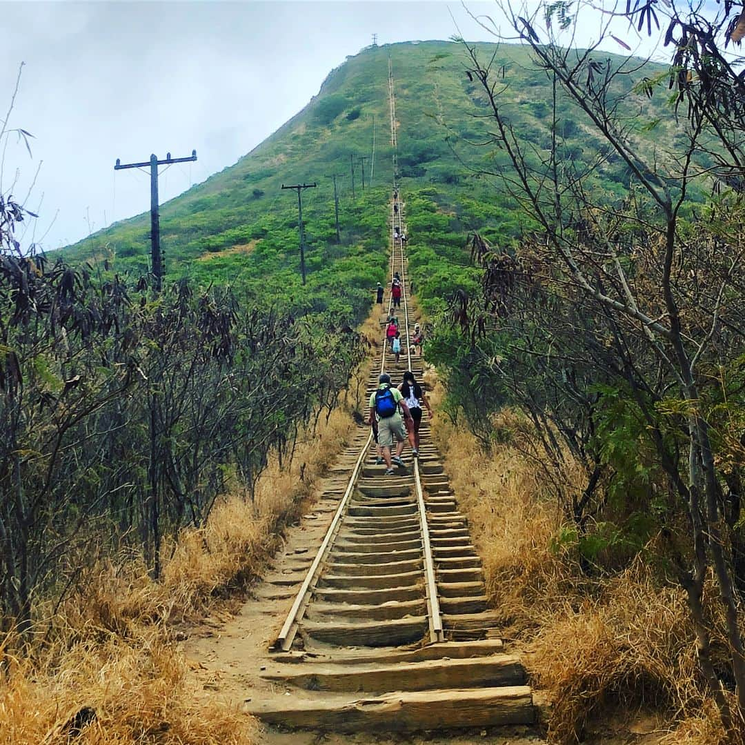 田中律子さんのインスタグラム写真 - (田中律子Instagram)「ココヘッド登ったどー✨🌈💪👟👣 途中から、這い上がりよじ登り、線路を歩いて足パンパン🤣全身汗だく💦でも頂上からの眺めは最高〜〜🤩 #kokohead  #山頂まで一直線 #けっこうキツイ  #一度は登るべし  #眺め最高  #hawaii」8月2日 8時49分 - ri2kotanaka