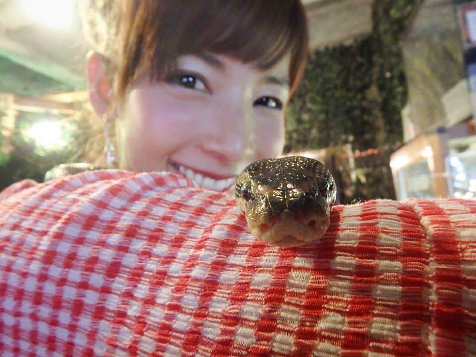 阪本智子さんのインスタグラム写真 - (阪本智子Instagram)「🐍♡ こちらも人生初!!!!😂✨ 蛇とのふれあい💕 初めは恐る恐るだったけど、 首に巻いてもらうと一瞬にして 可愛い!!!!ってなりました🤣💕 ✩ #reptiles #reptilesofinstagram #snake #python #pythonregius #socute #爬虫類 #蛇 #ニシキヘビ #ボールパイソン #生き物が好き #阪本智子 #今日も1日頑張ろう」8月2日 8時57分 - tomoko_sakamoto423