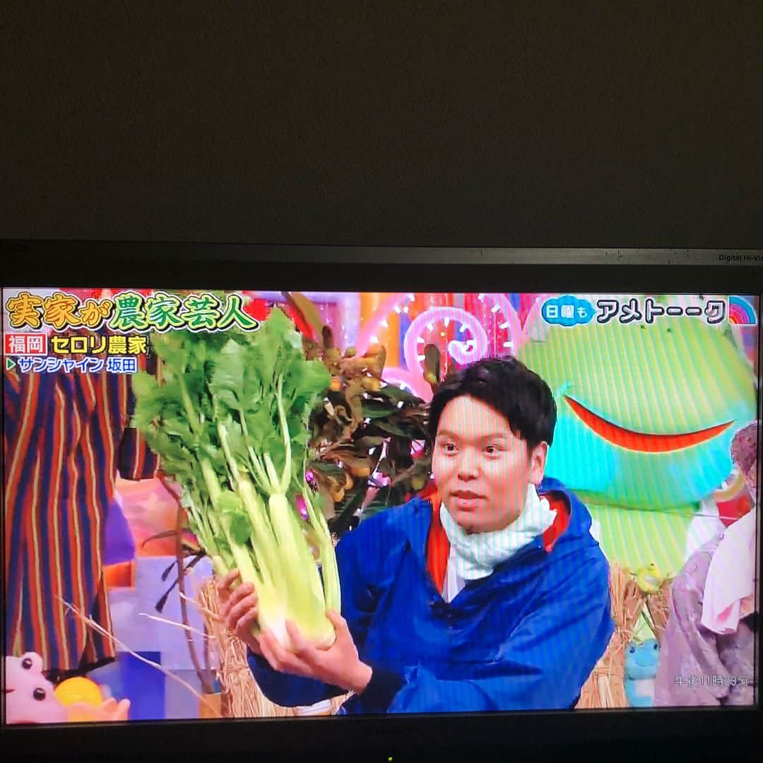 坂田 光のインスタグラム：「#アメトーク！ #日曜ゴールデン #実家が農家芸人  #セロリ #専業農家 #福岡県みやま市 #瀬高町 #家族、じいちゃんありがとう #皆さん是非是非瀬高のセロリをよろしくお願いします #素晴らしい出演者の皆さん #雨上がり決死隊 #麒麟川島 #三四郎小宮 #アンガールズ田中 #emma #笑い飯哲夫 #カミナリたくみ  #ハイキングウォーキングq太郎  #ガンバレルーヤよしこ #サンシャイン坂田 #敬称略 #emmaさんとよしこと写真 #いい女だなぁ！ #サンシャイン池崎 #ではなく吉本のサンシャイン #相方はのぶきよです #今後もよろしくお願いします」
