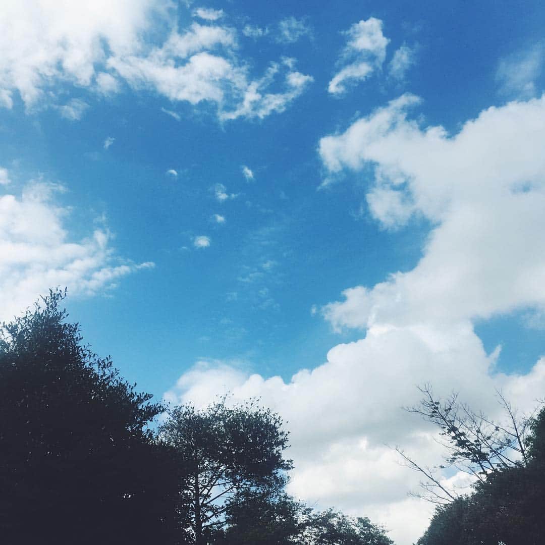 尾形沙耶香さんのインスタグラム写真 - (尾形沙耶香Instagram)「久しぶりに見上げた空は、すっかり夏模様 🌞  #夏空 #summersky」7月9日 15時20分 - sayakaogata