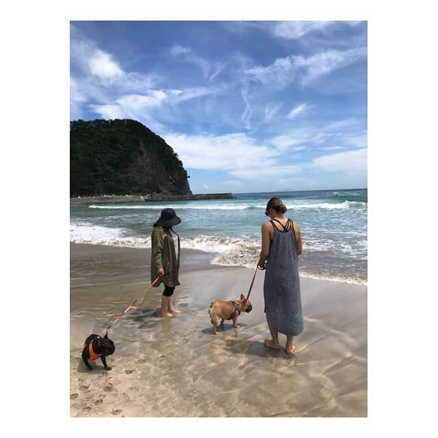 RENA（久保田玲奈）さんのインスタグラム写真 - (RENA（久保田玲奈）Instagram)「‪👭お母さんとおはみたで🐶🐶弾丸伊豆旅行に行ってきた🚘❤️‬ ‪おはみた連れて行ける動物園があるなんて知らなくてすごい楽しかった😌💕‬ ‪ヒョウにも強気なおはぎさんに、キリンがお気に入りのみたらしさん笑‬ ‪しまうまさんにバカにされる2匹😂🙌🏻笑‬ ‪海も旅館の温泉も気持ちよかった❤️‬ #おはぎ #みたらし #フレンチブルドッグ #伊豆旅行 #犬と旅 #アニマルキングダム #家族旅行」7月9日 17時07分 - sb_rena