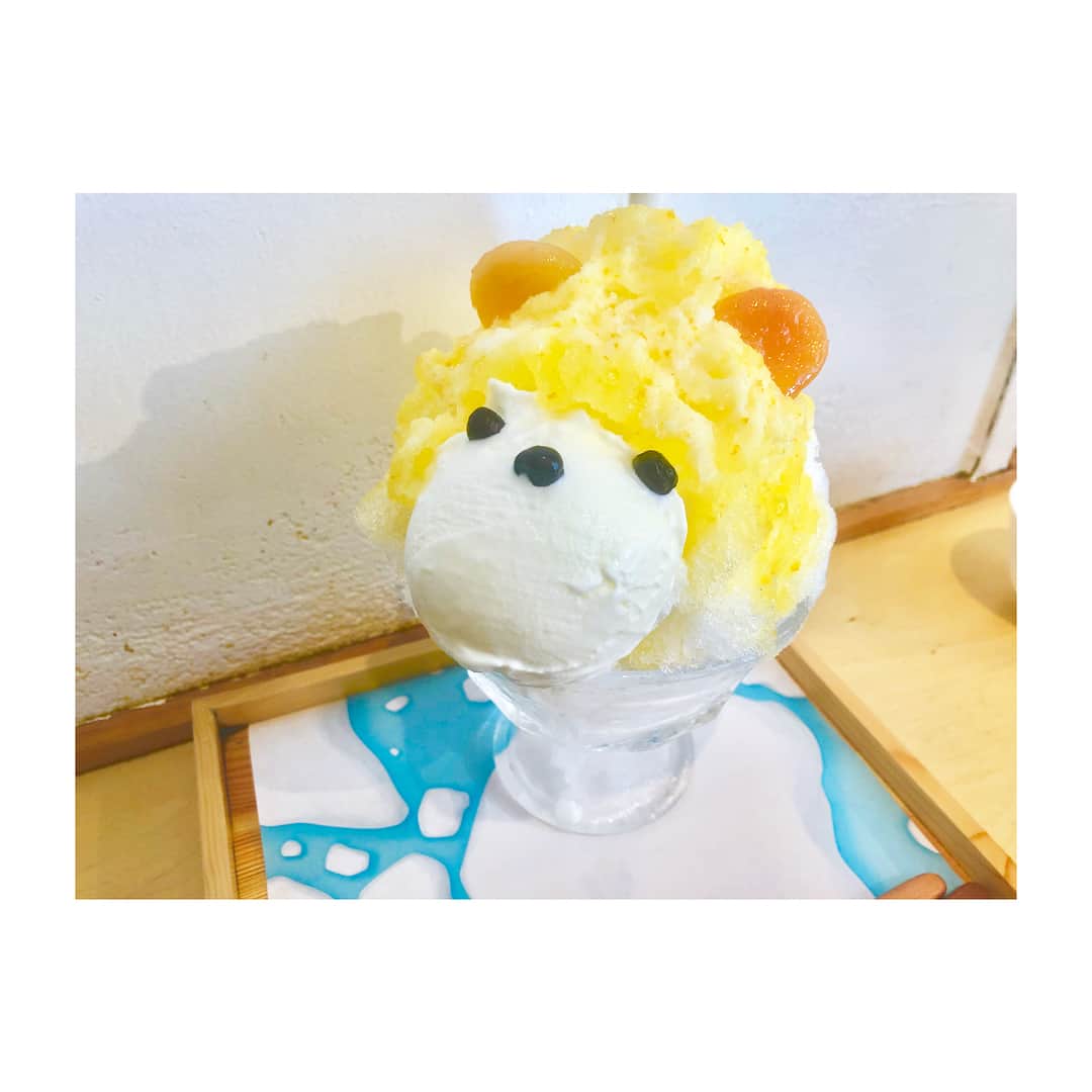 清水麻璃亜のインスタグラム：「* かわいいかき氷に出会いました😋 #今日の美味しみず #漢字が読めなくて何味かわからなくて #黄色いのください #って言った」