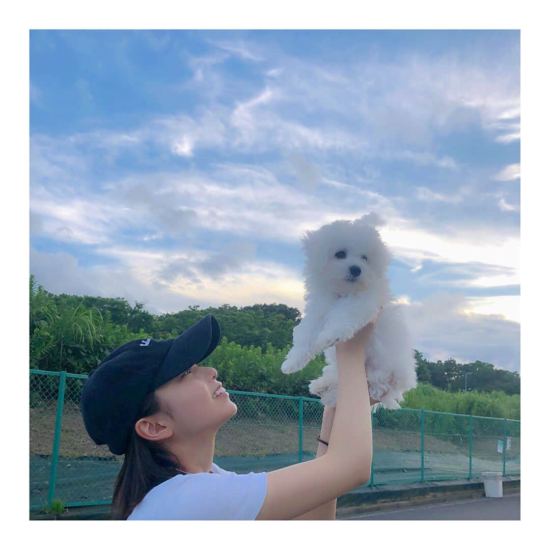 西村歩乃果さんのインスタグラム写真 - (西村歩乃果Instagram)「🐶🐶🐶🐶🐶🐶 さだはるぅぅぅぅぅぅ  可愛い  はじめての散歩 ずんぐりむっくりな時期は一瞬で終わっちゃうから すっぴんだけど母に連れられ 散歩に行って来たよ  田舎はいいよ すごく気持ちいい。  #ほんとはアンディ #さだはるがよかった」7月9日 19時11分 - honoka.n28