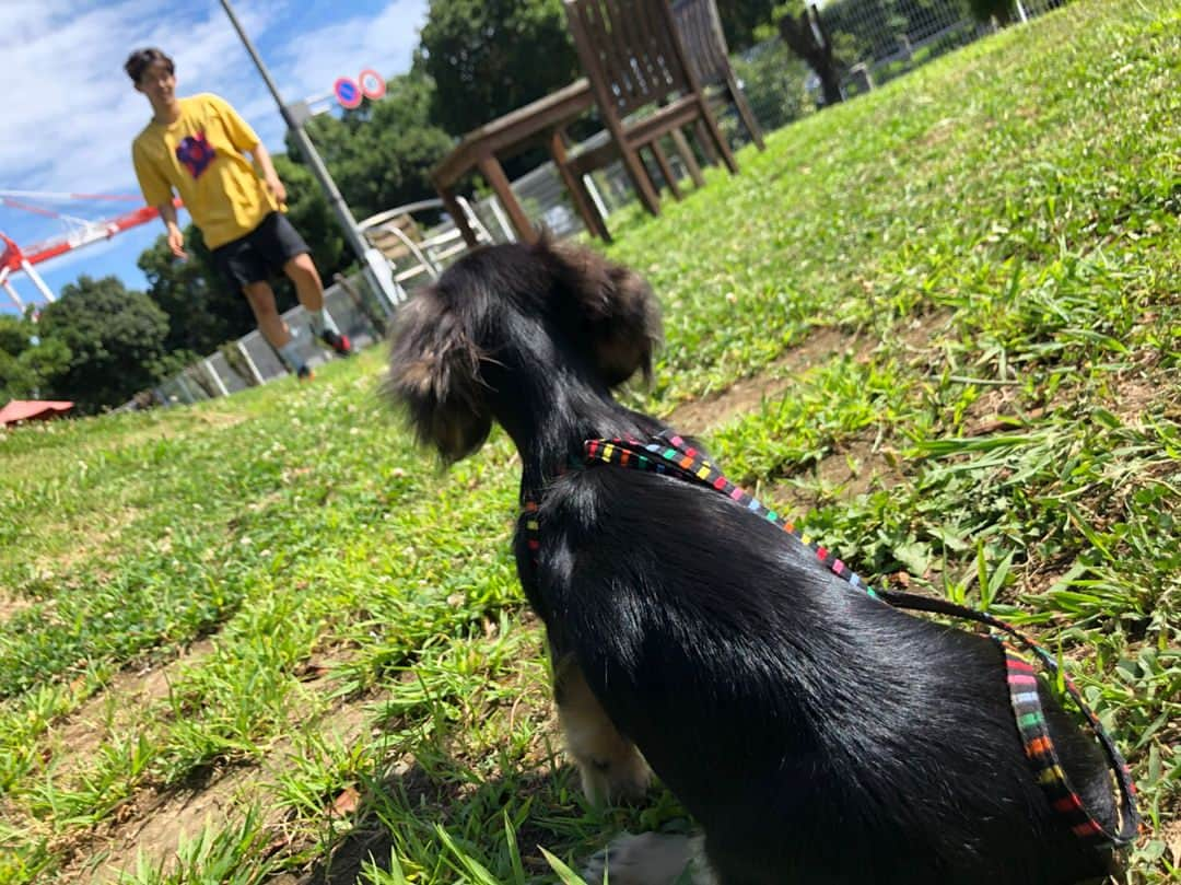 坂井聖人のインスタグラム：「今日は快晴だったのでモモちゃんと遊びに行って来ました🚶‍♂️🐕 とにかくひたすら癒された一日でした😻😻」