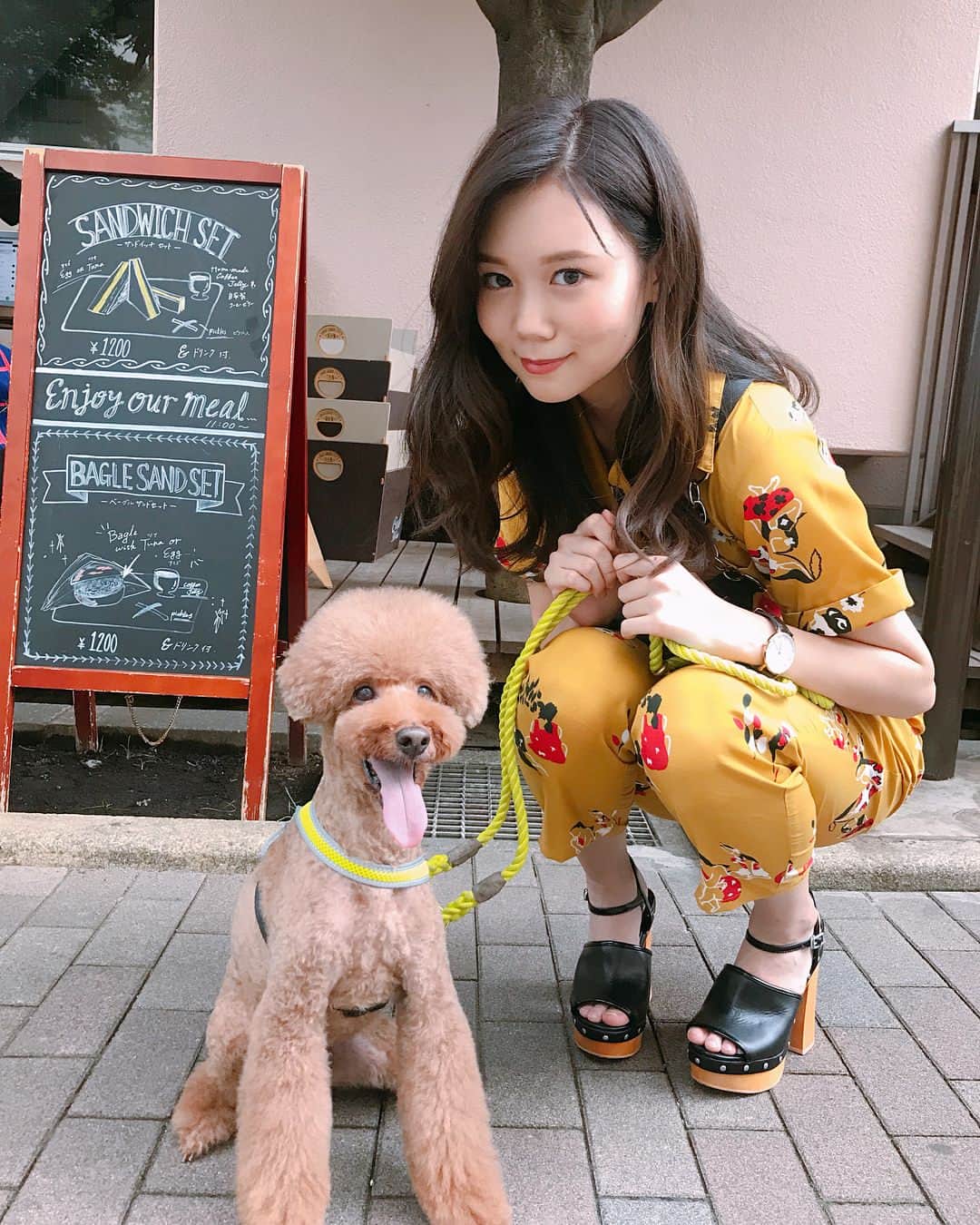 千田麻実のインスタグラム：「. .  昨日撮影の合間に出会った とーっても可愛いこ🐩♡ .  お利口さんで綺麗にトリミングされてて ふわふわでほんと可愛かったぁ〜😫💭 .  #トイプードル  #トリミングしたて  #かわい子ちゃん」