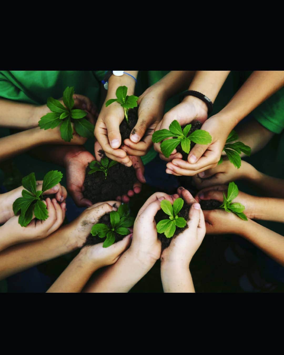 五味岳久さんのインスタグラム写真 - (五味岳久Instagram)「Even if one plant is grown by every family then, India would no more need to be concerned about upcoming generations...:) #plants #flowers #nature #naturelovers #naturegram #grow #care #love #development  #india #world #gogreen #instagood #instagramers  Do Like_comment_share @lostage」7月10日 7時05分 - lostage