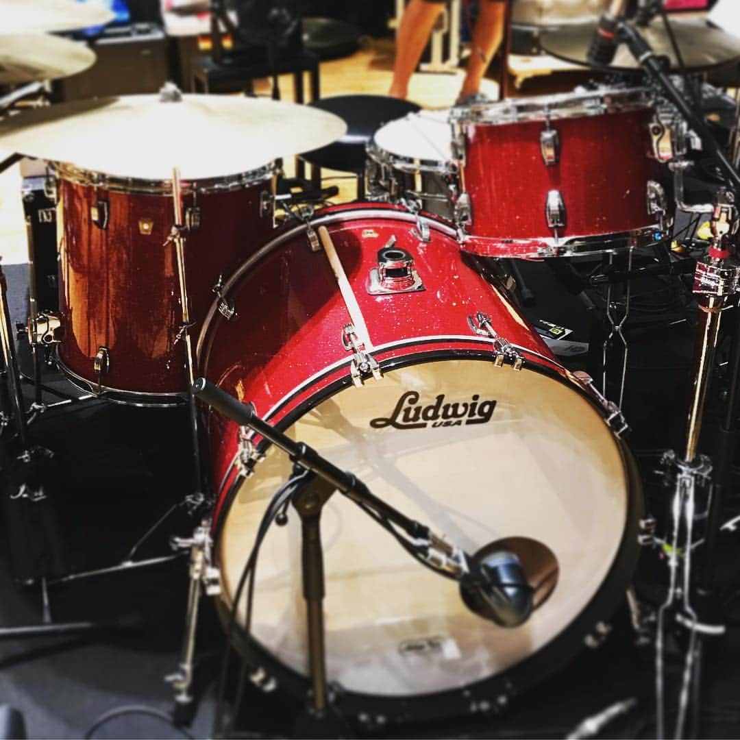 ほな・いこかのインスタグラム：「今年の夏は君に決めた！ #ludwig」