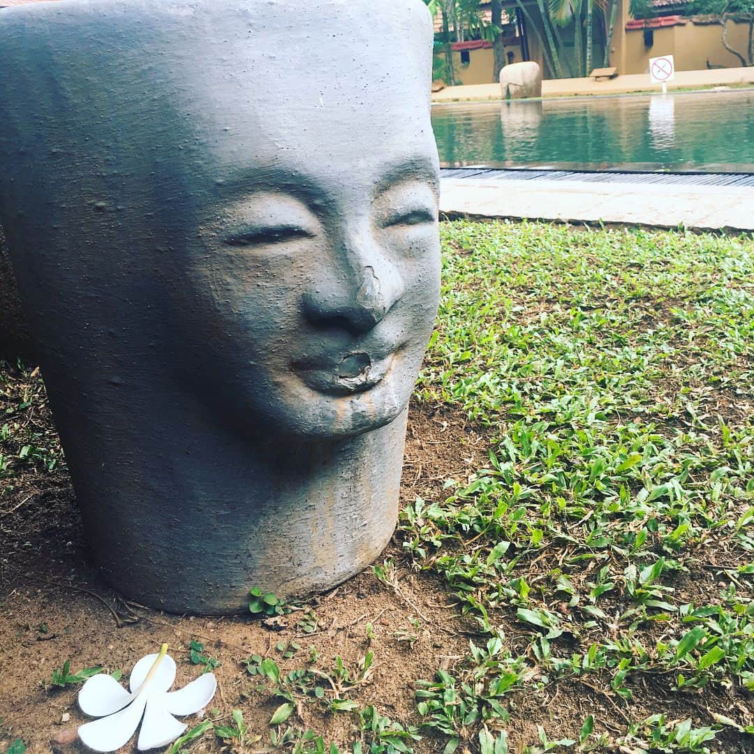 YUKA さんのインスタグラム写真 - (YUKA Instagram)「LOVE 🧚‍♀️SRI LANKA  #finally #srilanka #detox #ayurveda #massage #DAY1」7月10日 23時32分 - yukamoumoon