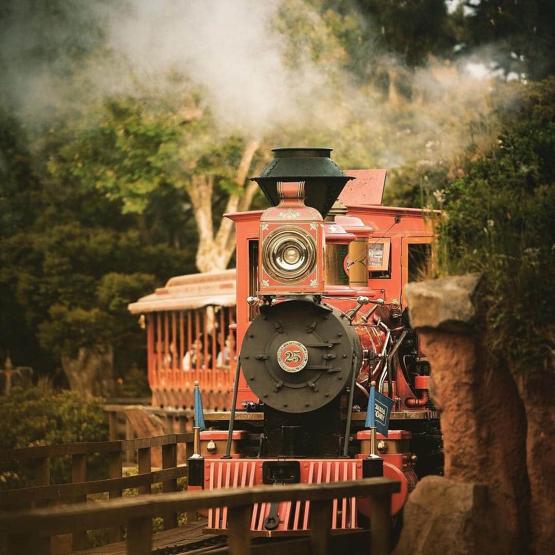 東京ディズニーリゾートのインスタグラム