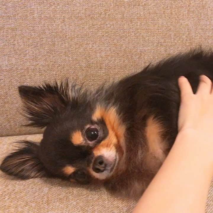 梅田悠のインスタグラム
