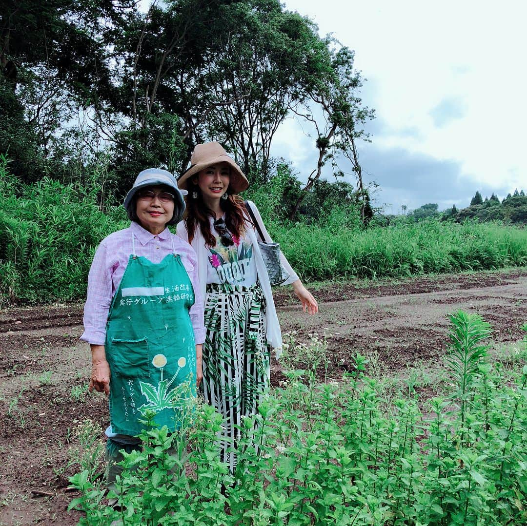 宮崎宣子さんのインスタグラム写真 - (宮崎宣子Instagram)「宮崎のハーブ🌿の先輩 上原さんに、ハーブの畑のご相談に行ってきました😊 いつも上原さんの笑顔に癒されます💕 宮崎ハーブ、私も頑張ります🌿  #ハーブ園 #ハーブ畑 #ハーブ #宮崎ハーブ #ハーバルセラピスト #宮﨑宣子 #レモングラス #ペパーミント」7月11日 19時05分 - miyazaki_nobuko