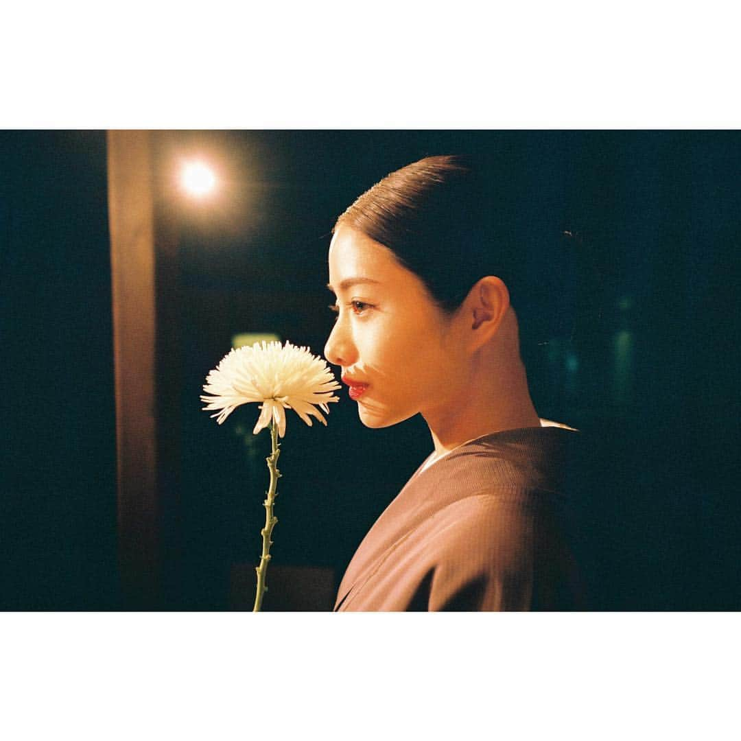 芳根京子さんのインスタグラム写真 - (芳根京子Instagram)「「高嶺の花」 第1話放送でした。  石原さんのこのお写真、 美しくて美しくてたまらなくて インスタに載せる許可を頂いても ずっとずっと独り占めしていました。笑  1話のラストのシーンの撮影の時、 パッと横を見ると、お花の香りを嗅いでいる石原さんがいらっしゃって、胸がドキドキしました。  勇気を出して、 「あの、お写真撮らせてもらってもよろしいですか？」とお声をかけさせていただきました。 「こうしてもらってもいいですか、、！」という、私の図々しいお願いにも笑顔で応えてくださって、 物凄く大満足の1枚を頂くことができました。  ほんとに、このお写真みると 気持ちが高ぶってしまう。 魅入ってしまう。  石原さんとお話しするたび、 尊敬と憧れの気持ちが 日々強くなります。  あぁ、やっぱりお姉ちゃんって凄いな。って、ななとしての気持ちもどんどん高まっていきます。  ここからななと一緒に いろんな景色を見て、  いろんな経験をして、 自分自身も大きくなりたい、 そう強く思っています。  なな、これからいろんな試練とぶつかっていくんです。 どうか、見守ってくださると嬉しいです。  本当に、このお写真みると くぅうう！！！っと、 なんていうんだろう、 なんか、気持ちが凄く動くんですね。  あぁ、話が止まらないから、 もうやめよう。笑  とにかく、 来週からも怒涛の展開です。 是非、第2話もお楽しみに☺︎ 夜分遅くにすみません。 おやすみなさい！  #film  #高嶺の花  #インスタがブログ化 #なんなら最近のブログより文字数が多い  #ちょっと反省  #でも投稿」7月12日 1時51分 - yoshinekyoko