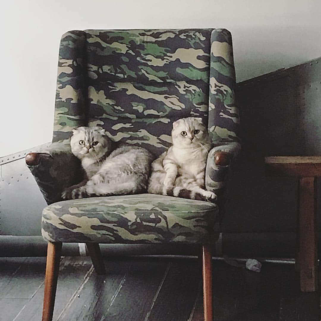 のインスタグラム：「No you cant see us. We camo!」