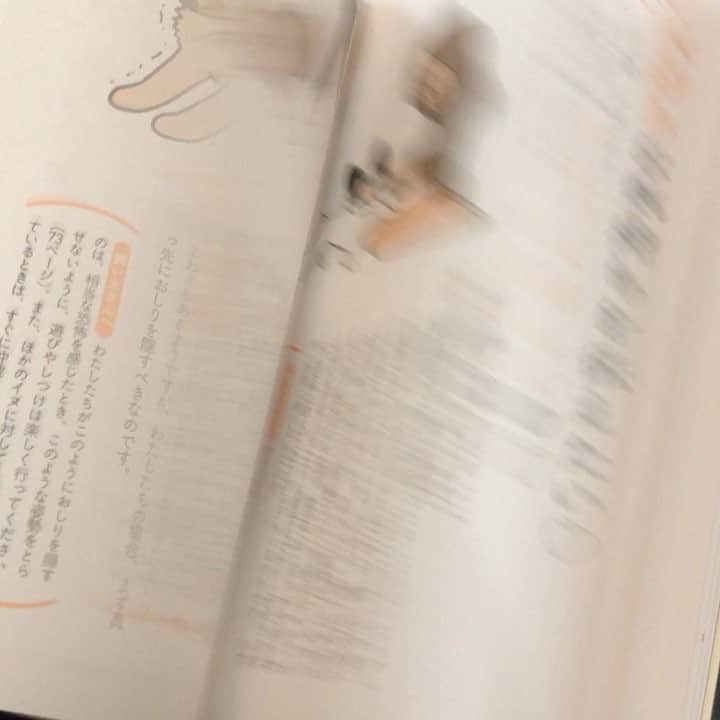 みずしな孝之のインスタグラム：「むちゃくちゃイラスト描いたよ！」