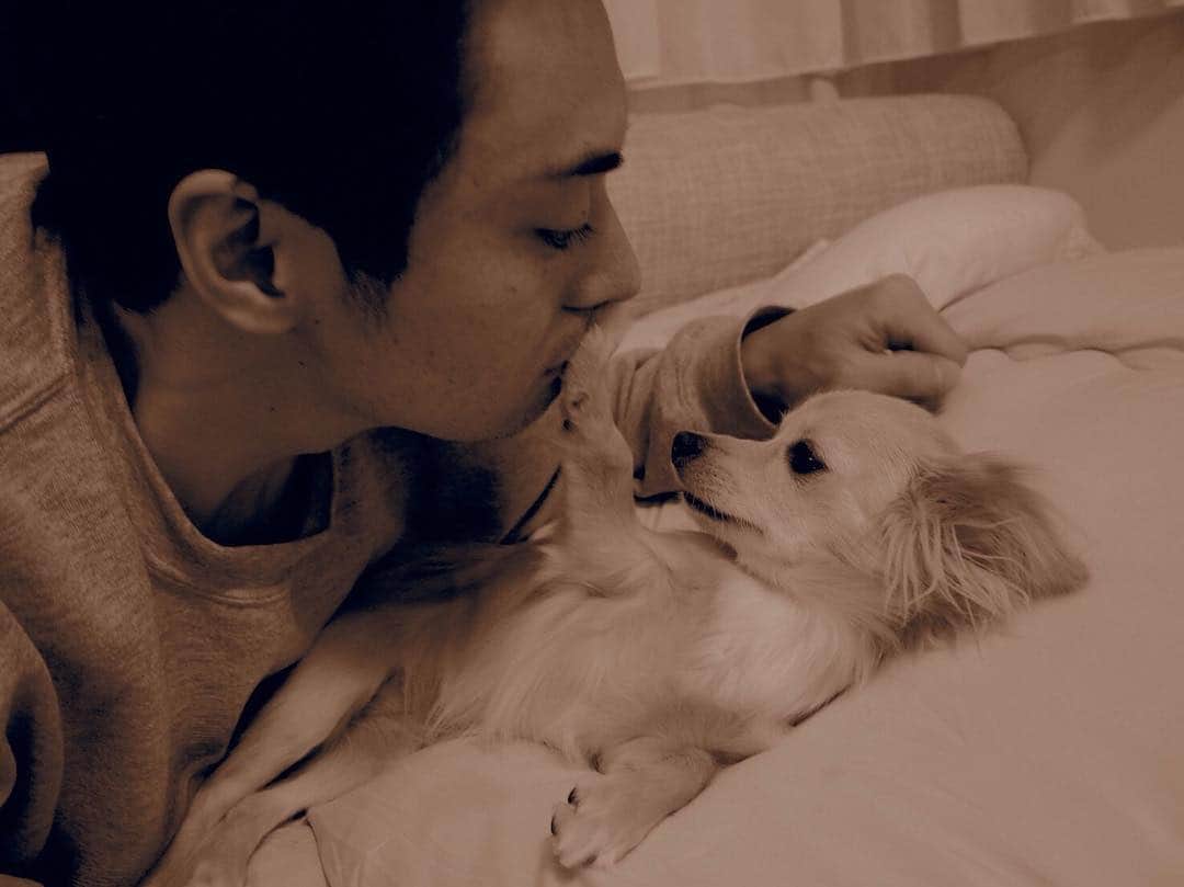 五代了平さんのインスタグラム写真 - (五代了平Instagram)「ぴっぴ。 愛犬。  なんか拒否られました。  でもかわいい。  このやろう。  #チワックス #愛犬 #犬 #ぴっぴ #親バカ  #たまらん  #自分の犬が一番可愛い  #みんなそうでしょ  #俳優  #役者  #actor  #五代了平」7月13日 20時06分 - ryohei_godai_official