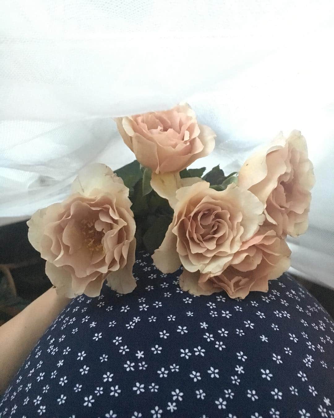 花盛友里のインスタグラム：「Looove this color」