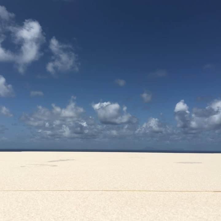 タイラー・ブラックバーンのインスタグラム：「🐠 @wimcovillas #stbarts」