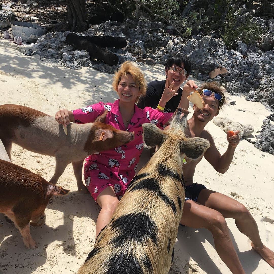春木開さんのインスタグラム写真 - (春木開Instagram)「豚🐷サメ🦈イグアナ🦎 どれが好みですか？❤️ #バハマ #bahamas #🇧🇸 #pig #jaws #lizerd #nature #island」7月14日 10時42分 - haruki.kai