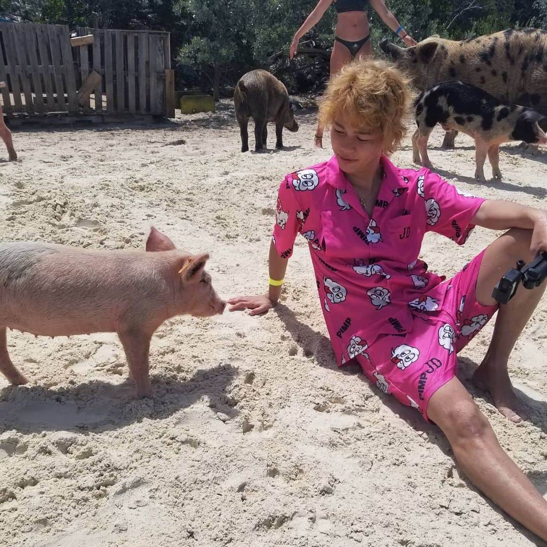 春木開さんのインスタグラム写真 - (春木開Instagram)「豚🐷サメ🦈イグアナ🦎 どれが好みですか？❤️ #バハマ #bahamas #🇧🇸 #pig #jaws #lizerd #nature #island」7月14日 10時42分 - haruki.kai