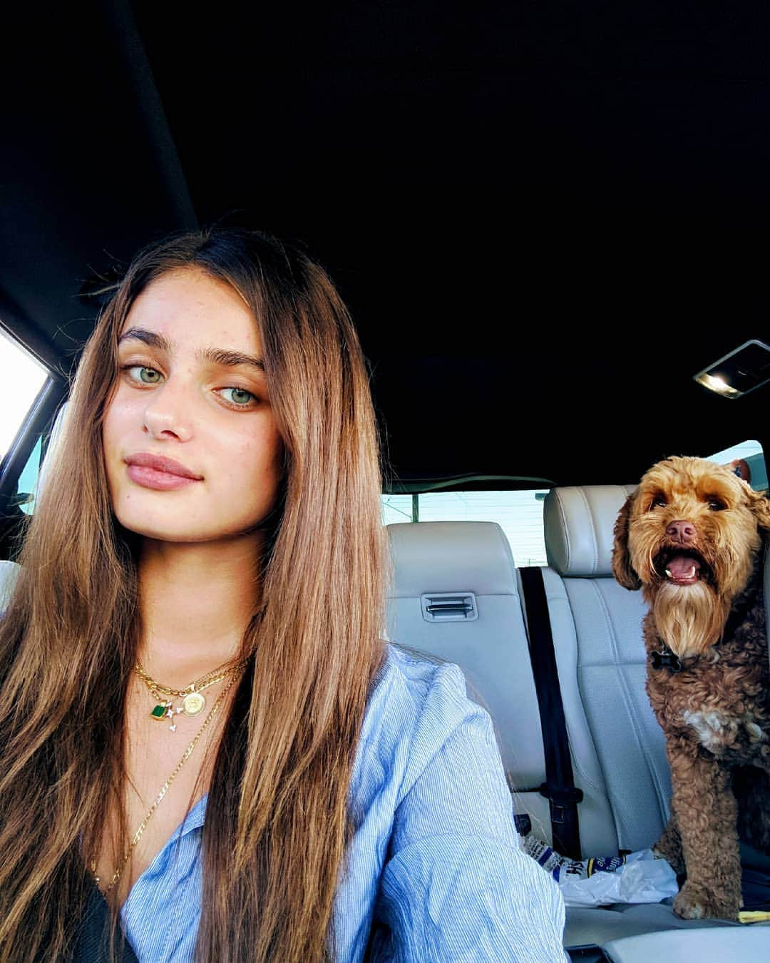 テイラー・ヒルさんのインスタグラム写真 - (テイラー・ヒルInstagram)「Tate is such a back seat driver 🐶」7月14日 12時44分 - taylor_hill