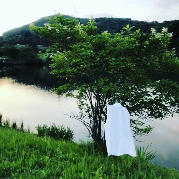 ミウラウチュウのインスタグラム