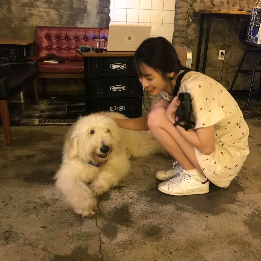 横田真悠さんのインスタグラム写真 - (横田真悠Instagram)「☺︎☺︎☺︎ 本当に可愛いわんわん！❤️ 図々しくベタベタしてしまった」7月14日 20時58分 - yokota_mayuu