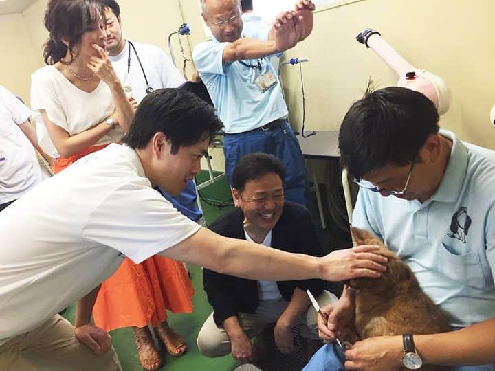 杉本彩さんのインスタグラム写真 - (杉本彩Instagram)「昨日は、大阪市住之江区にあるおおさかワンニャンセンター（大阪市動物管理センター）の視察に行ってまいりました🐕🐈 視察は昨年に続き2回目、今回は吉村洋文大阪市長と共にお伺いさせて頂きました。 おおさかワンニャンセンターでは、人に慣れていない動物も数ヶ月の時間をかけてお世話をし、譲渡につなげています。 そして特筆すべきところは、職員の方が、収容されている犬のトリミングを定期的に行っていて、犬たちがいつもきれいなこと。トリミングは皮膚を清潔に、そして見た目が良くなると同時に、全身を確認することで早期に体の異変に気付くことができ、またスキンシップを深めることができます。トリミングの技能は、職員の方が外部講師の研修を受講し日々訓練しています。 また譲渡前の不妊・去勢手術は必須です。 不妊・去勢手術をした際には、専用の機械を使い術後に歯石を取ります。歯石がたまっていると口臭にもつながりますし、歯周病にもなってしまいます。きれいな歯で譲渡していただくと里親になられた方も嬉しいですし、この美しい歯を維持してあげたい、という健康への意識が高まるのではないかとも思います。 センターには、昨年お邪魔した時は所長室だった部屋が「猫のふれあい室」に改築されていました😸 猫が譲渡されて家庭に入った時、人との暮らしに戸惑わないようリビングのような作りになっています。 センターの周囲のフェンスは、訪れる人に分かりやすく気軽に立ち寄ってもらえるよう今年度中に改修工事が予定され、内部犬舎も、現在の広い雑居スペースを細かく区切る工事が予定されています。 おおさかワンニャンセンターは、築50年以上の大変古い建物です。建物内は綺麗とは言い難いですが、常に動物目線で動物が少しでも快適にストレスなく居られるよう取り組まれていることが、時には手作りの様々な工夫から窺えます。そして何より、センター内の収容動物の姿と表情を見ているとよく分かります。 視察の最後に、吉村市長に獣医である職員の方が、獣医を増やして欲しい、そして臨床の研修に行く機会をいただきたいとお願いされていました。 獣医師の能力が向上すること、また臨床獣医師の人数を増やすことは、動物たちのケアと譲渡推進においてとても重要なこと。職員の方々の意識の高さと情熱に胸が打たれました。 酷暑の中、土曜日にも関わらず視察を受け入れてくださったセンター職員の皆さま、ありがとうございました。そして多忙なご公務の中、動物たちの問題に真摯に向き合い、理由なき殺処分ゼロを目指した、動物譲渡事業のさらなる向上のために、リーダーシップを発揮してくださる吉村市長に今後も益々期待しています。 大阪市の動物愛護事業を、ふるさと納税で支えて頂けましたら嬉しいです。 #おおさかわんにゃんセンター  #吉村洋文大阪市長  #吉村洋文 #大阪市 #保護犬  #保護猫 #公益財団法人動物環境福祉協会Eva」7月15日 10時31分 - sugimoto_aya0719