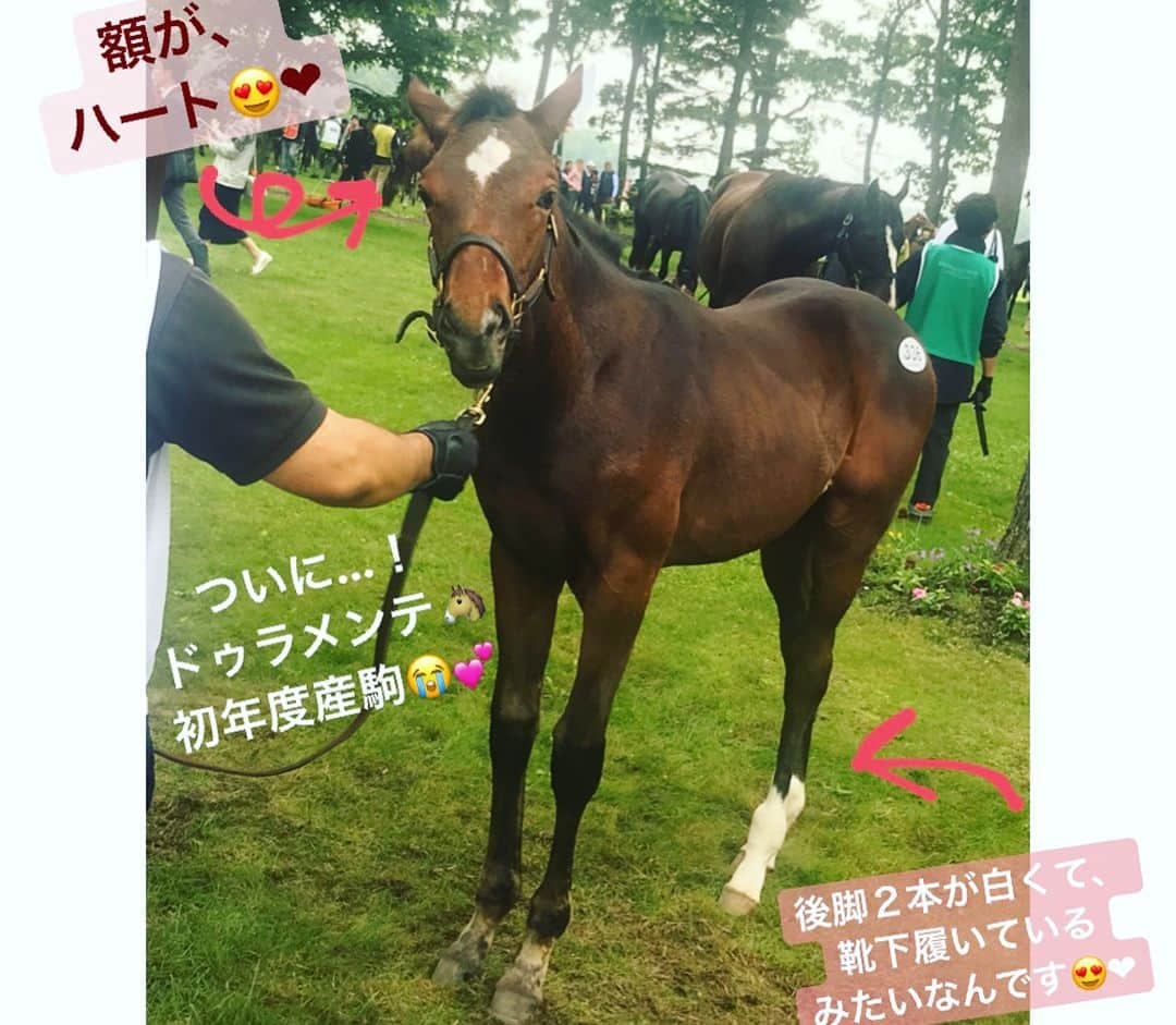 小澤陽子さんのインスタグラム写真 - (小澤陽子Instagram)「at work☻  そして今年の最高額はなんと… ◯億◯千万円！！！ . .  年に一度の、一大イベント‼️ .  サラブレッドの、日本一🇯🇵のセリ『セレクトセール』、、！ . . 初めて見る方は、そのどんどん高騰していく額に、ビックリするはず… とっても面白いので、見てみてください！ . .  大好きなドゥラメンテや、モーリスなどの、初年度産駒も…✨ . #函館記念  #UMAJO #ウマジョ #週末はウマでしょ #みんなのKEIBA #KEIBA好きを広げたい🐴♪ . 今日も、福島からお届けします！ 15:00〜 みんなのKEIBAで🐴💛 #ドゥラメンテ #初年度産駒 #感慨深い…」7月15日 11時43分 - yoko.ozawa729