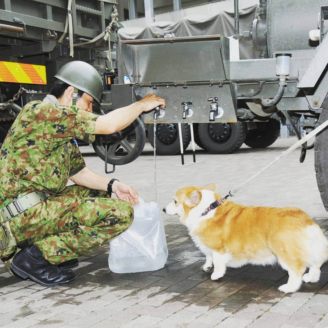 陸上自衛隊さんのインスタグラム写真 - (陸上自衛隊Instagram)「｢給水支援｣ 　#陸上自衛隊 は、平成30年7月 #豪雨 に係る災害派遣活動を実施しております。 #災害派遣 #jgsdf  #給水 #給水支援 #支援 #犬と一緒 #犬と一緒 #犬に #犬と暮らす#わんこは家族 #わんこと暮らす幸せ」7月15日 14時28分 - jgsdf_pr