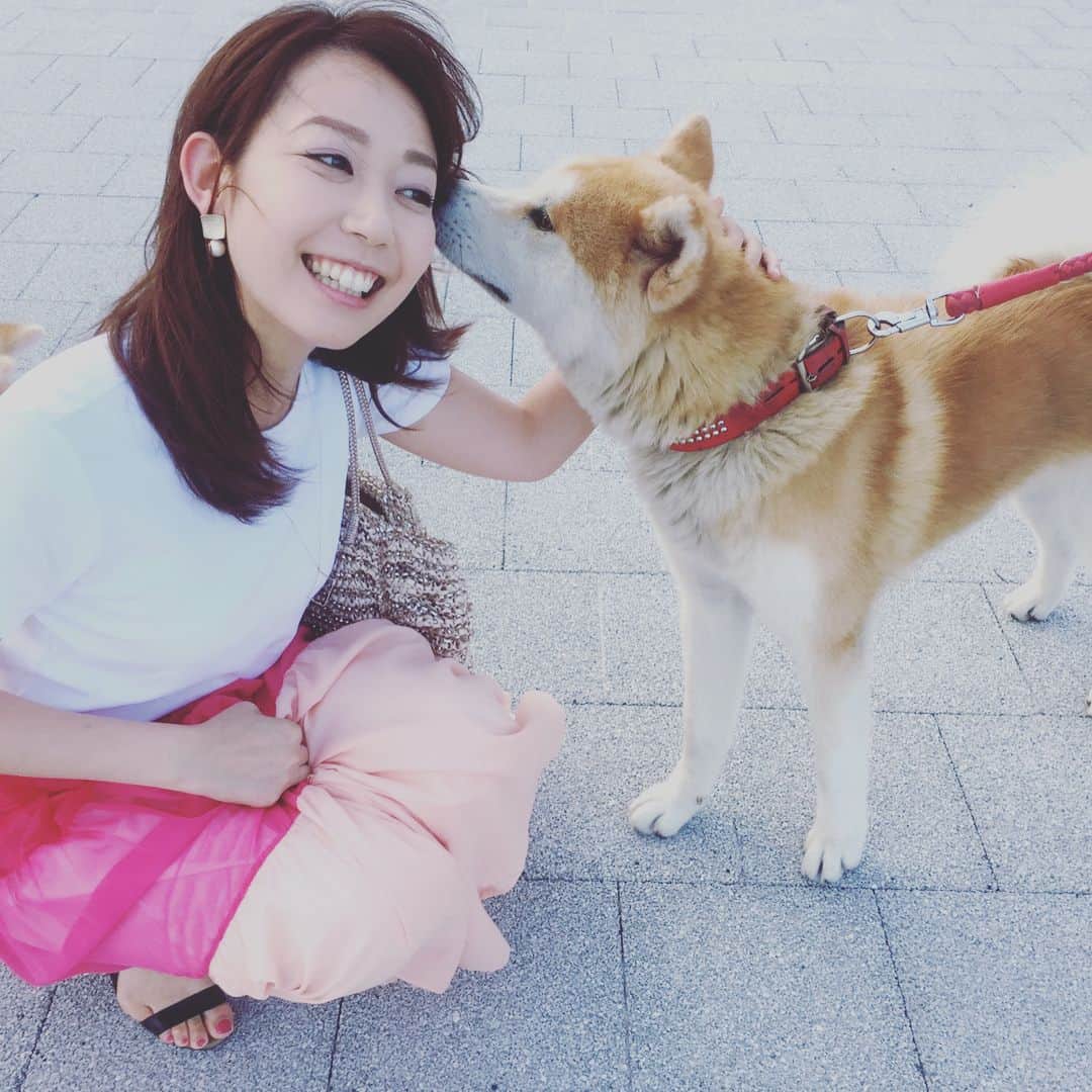 須黒清華のインスタグラム：「友達の結婚式で仙台へ。 せっかくなので松島観光に行ったら、秋田犬くんたちが🐶 チューで歓迎してくれました〜💕 ふわふわでとっても可愛かった〜‼︎ . 初めての日本三景もとても美しかったです✨ #仙台 #松島観光 #秋田犬  #ちなみに本人に確認してみましたが、マサルちゃんではありませんでした（笑） #マサル #ザギトワの秋田犬」