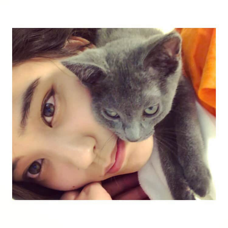 山崎紘菜さんのインスタグラム写真 - (山崎紘菜Instagram)「💤 今日も1日お疲れ様でした。 とてつもなく暑い日が続いています。 熱中症にはくれぐれも気をつけてくださいね。 #ふわふわな友達 #会いたい」7月15日 23時05分 - hirona_yamazaki