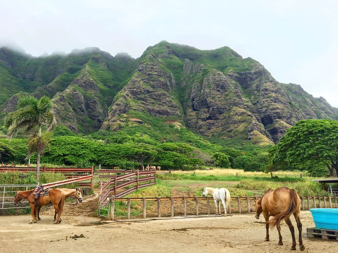 斉藤祥太さんのインスタグラム写真 - (斉藤祥太Instagram)「今回はバイクじゃなく車で🤙 #hawaii の自然は最高🏝 #aloha  #mustang  #mahalo  #斉藤祥太 #充電完了 #帰ってからが勝負 #🔥」7月16日 13時40分 - shota_ta_sho