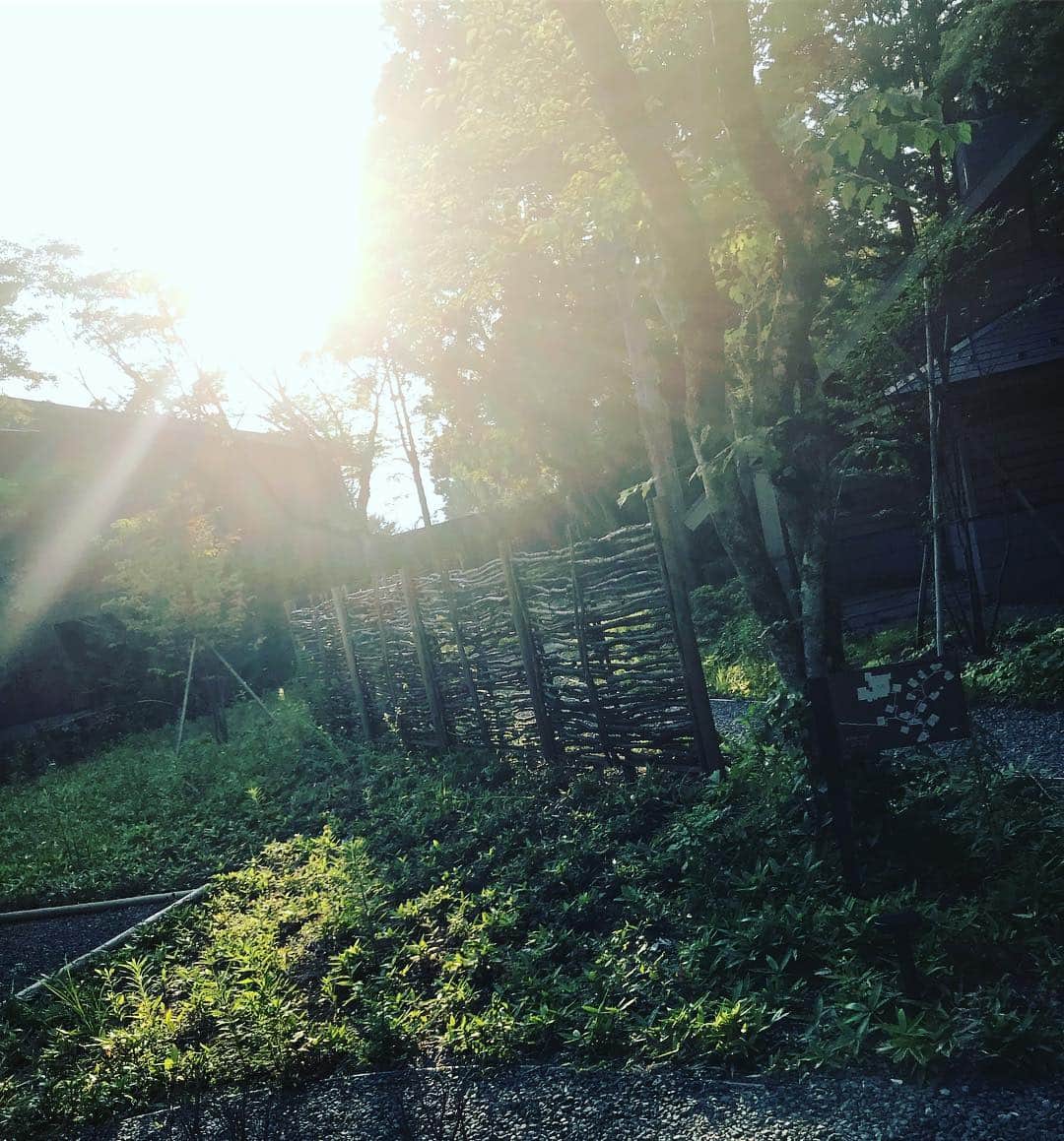 長谷川京子さんのインスタグラム写真 - (長谷川京子Instagram)「おはようございます。 今日も一日暑くなりそう。 水を持ち歩いてくださいね。」7月16日 8時58分 - kyoko.hasegawa.722