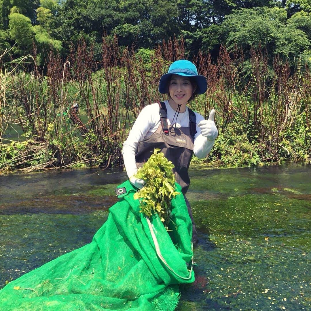若村麻由美さんのインスタグラム写真 - (若村麻由美Instagram)「【告知】今日は海の日。たまにはビーチに行こうかと、手始めに自宅でサザンの曲を聴いているstaff Aです🎧 あ、その前にコレを見なきゃ！ . 📺7/16(月)14:55〜16:20 日テレ系列 (中京テレビ制作) アサヒ飲料スペシャル 『これぞニッポンの海〜水の恵みと生きる人々〜』 http://www.ctv.co.jp/umi/ . 富士の湧き水が流れる静岡県清水町・柿田川を訪れ、水源を守る人々の暮らしにふれております。 若村18歳の時の思い出の鰻も 伏流水で泳がせた鰻だった事が判明。 . 水の恵みの有難さ・在り方・大切さを考える今日この頃。猛烈な暑さが続いております。熱中症予防には小まめな水分補給が効果的、十分にお気をつけてお過ごし下さい⚠️ . #若村麻由美 #海の日 #サザン #行った気分 #リア充 #中京テレビ #これぞニッポンの海 #静岡県 #三島 #清水町 #柿田川 #外来種 #駆除 #清掃 #鰻 #思い出の味 #熱中症 #予防」7月16日 12時25分 - mayumiwakamura_official