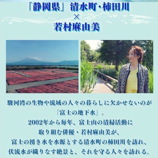 若村麻由美さんのインスタグラム写真 - (若村麻由美Instagram)「【告知】今日は海の日。たまにはビーチに行こうかと、手始めに自宅でサザンの曲を聴いているstaff Aです🎧 あ、その前にコレを見なきゃ！ . 📺7/16(月)14:55〜16:20 日テレ系列 (中京テレビ制作) アサヒ飲料スペシャル 『これぞニッポンの海〜水の恵みと生きる人々〜』 http://www.ctv.co.jp/umi/ . 富士の湧き水が流れる静岡県清水町・柿田川を訪れ、水源を守る人々の暮らしにふれております。 若村18歳の時の思い出の鰻も 伏流水で泳がせた鰻だった事が判明。 . 水の恵みの有難さ・在り方・大切さを考える今日この頃。猛烈な暑さが続いております。熱中症予防には小まめな水分補給が効果的、十分にお気をつけてお過ごし下さい⚠️ . #若村麻由美 #海の日 #サザン #行った気分 #リア充 #中京テレビ #これぞニッポンの海 #静岡県 #三島 #清水町 #柿田川 #外来種 #駆除 #清掃 #鰻 #思い出の味 #熱中症 #予防」7月16日 12時25分 - mayumiwakamura_official