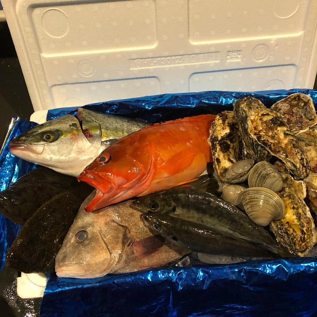 Il Fiume イルフューメのインスタグラム：「今日も新鮮なお魚が届きました！🐟 魚に関しては前菜を仕込んだり、特に決まったメニューがないのでお客様のご希望の調理法でお出ししてます！  ハッピーアワーも18時から19時までの間ドリンク半額で開催してますのでよろしければ…🐥 ぜひご来店お待ちしております。 #food#foodstagram#ilfiume#shibuya#italian#誕生日プレート#イルフューメ#イタリアン#渋谷#渋谷イタリアン#魚料理#大畑鮮魚#三崎港#ハッピーアワー」