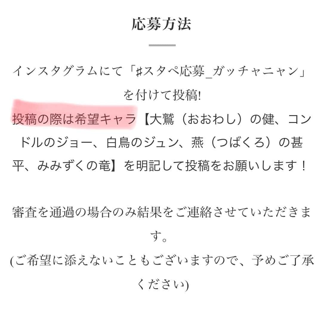 スタペ／スターペットさんのインスタグラム写真 - (スタペ／スターペットInstagram)「ガッチャニャンモデル猫ちゃんのご投稿ありがとうございます！もちろんまだまだ募集中！！ . 大変好評につき、これまで投稿いただいた方には恐縮ですが . 【希望キャラ】の追記をお願いいたします。 . これからご投稿くださる方も希望キャラの明記をお願いいたします✨ . キャラ名はこちらです👇 . 大鷲の健 コンドルのジョー 白鳥のジュン 燕の甚平 みみずくの竜 . です！🕊 . 今回は猫ちゃんのみでごめんなさい！今後はワンちゃんやその他ペットさんも参加できる企画があることを祈っています🙇‍♀️ #スタペ応募_ガッチャニャン #スターペット#モデル猫募集 #モデル猫#スター猫#スターキャット#猫募集」7月17日 19時50分 - _starpet_