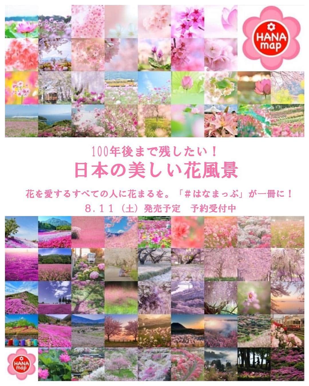 はなまっぷ❁日本の花風景さんのインスタグラム写真 - (はなまっぷ❁日本の花風景Instagram)「100年後まで残したい！ 日本の美しい花風景🌸（三才ブックス） * 大変お待たせいたしました！ みなさんと作る「はなまっぷ本」 いよいよ解禁です📖 Amazonにて予約開始となりました‼️ はなまっぷ（@hanamap）のプロフィール欄からぜひ一度ご覧ください。 * 予約開始を記念して？！掲載させていただく予定の素敵なお写真の数々を大公開🌸 お写真をご提供いただいた方々、今まで非公開にご協力いただきありがとうございました😊🙏 * おかげさまで、私が当初作りたかった本を遥かに超える他にはない素晴らしい花の本になりました。 自信を持ってオススメできますので、ぜひみなさんの周りの方々にもお知らせください🙇‍♀️可能な方はTwitterやfacebookなどでもお知らせいただけるとすごくありがたいです🙇‍♀️🌸 * 💓💓こちらの画像の転載、リポスト大歓迎です💓💓 * 募集開始から約三カ月、ようやくここまで形になってきました。たくさんの方々にご協力いただき感謝しています。 発売まであと少し。みなさん引き続きどうぞよろしくお願いします🙇‍♀️ * 色別に3枚、連投させていただきますね🙏🌸 * #はなまっぷ #はなまっぷ本 #日本の美しい花風景 #三才ブックス」7月17日 21時05分 - hanamap