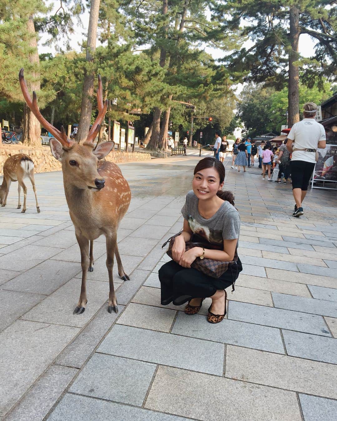 村上奈菜さんのインスタグラム写真 - (村上奈菜Instagram)「お仕事が早く終わって奈良を感じてきました😆✨ずっと会いたかった鹿に会えて嬉しい！！2番目の動画は初めての触れ合いでだいぶびびってた(笑)けど3番目距離近づけた🦌✨ #奈良 #5日目 #奈良公園 #鹿 #暑さも吹き飛んだ  #東京帰ります 🚄」7月18日 17時35分 - murakami__nana