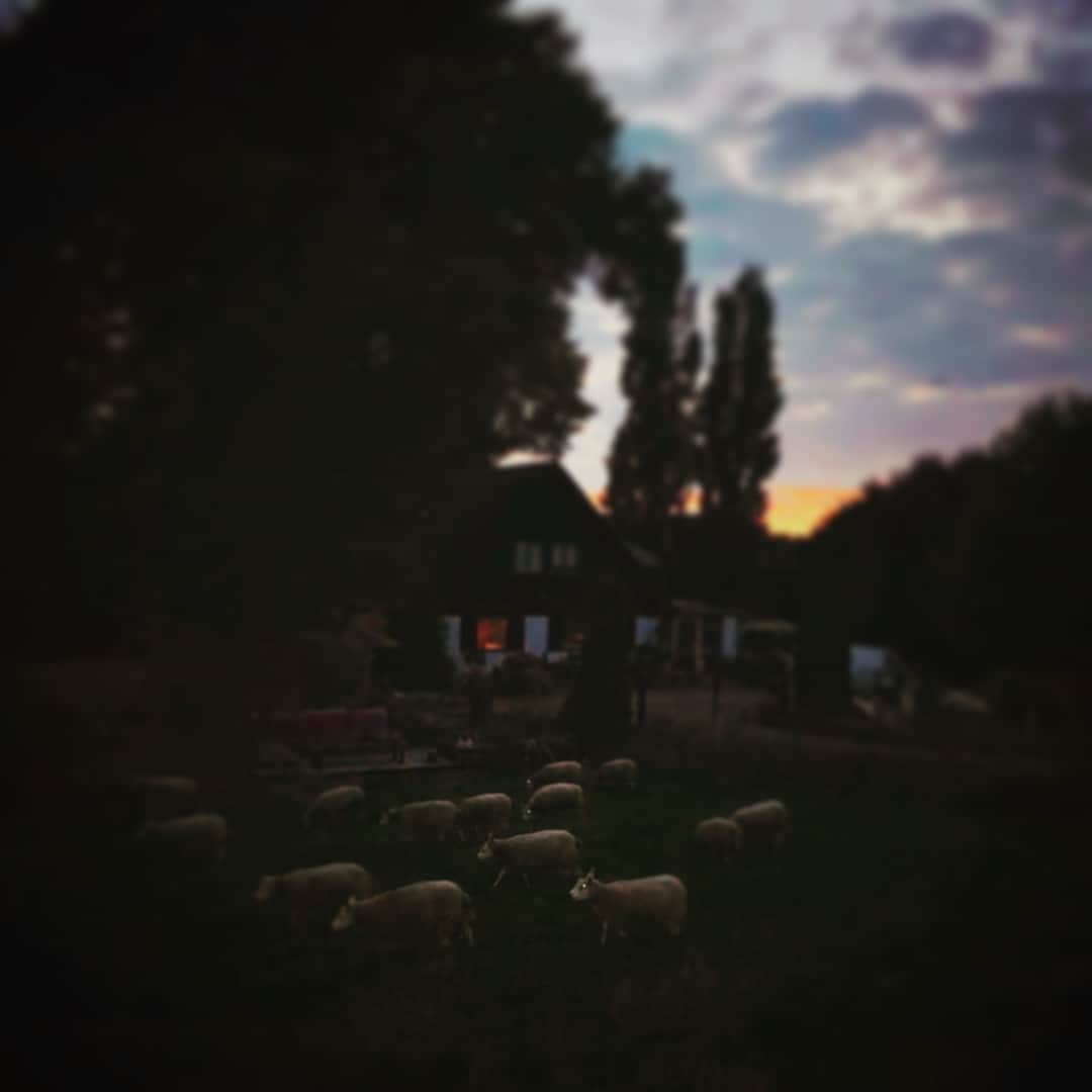 平宮博重さんのインスタグラム写真 - (平宮博重Instagram)「Walking around my house in sunset #summertimeshine #散歩」7月19日 6時57分 - hiroshige_narimiya